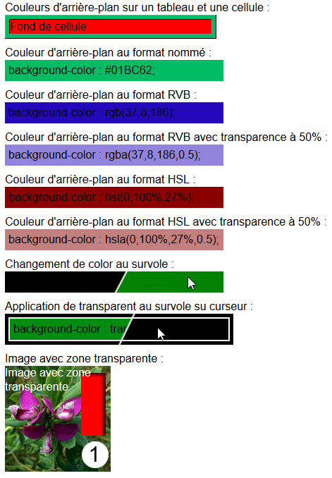 copie d'&eacute;cran de l'affichage de la propri&eacute;t&eacute; css background-color