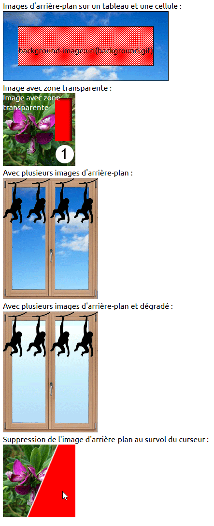 copie d'écran de l'affichage de la propriété css background-image