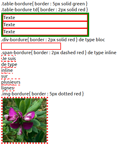 copie d'écran de l'affichage de la propriété css border