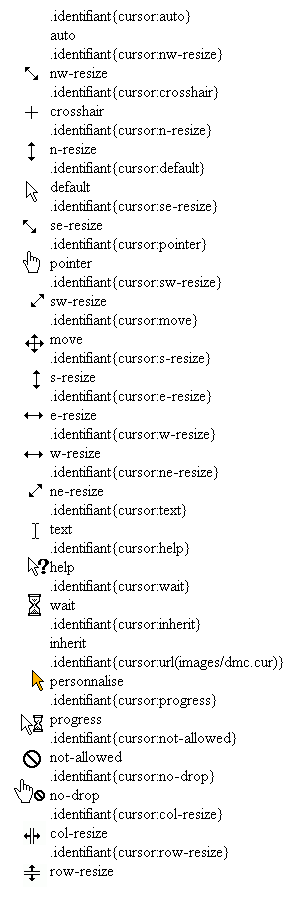 copie d'écran de l'affichage de la propriété css cursor