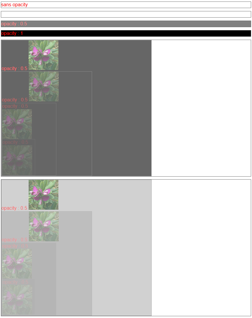 copie d'écran de l'affichage de la propriété css opacity