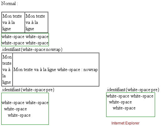 copie d'&eacute;cran de l'affichage de la propri&eacute;t&eacute; css white-space