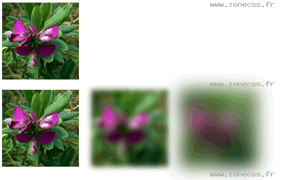 copie d'écran de l'affichage de la fonction CSS blur()