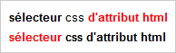 Exemple de slecteur Css d'attribut