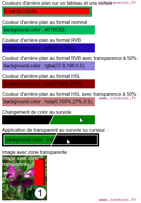 copie d'écran de l'affichage de la propriété CSS background-color