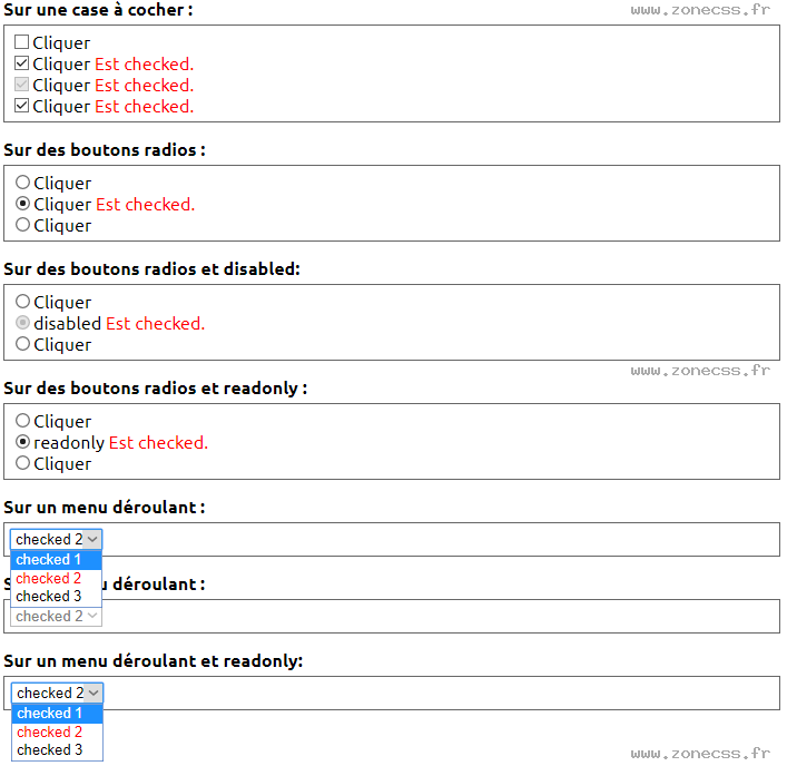 copie d'écran de l'affichage du sélecteur CSS :checked