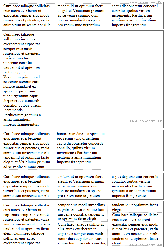 copie d'écran de l'affichage de la propriété CSS column-width