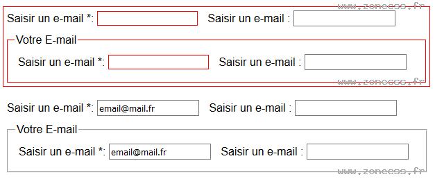 copie d'écran de l'affichage du sélecteur CSS :invalid