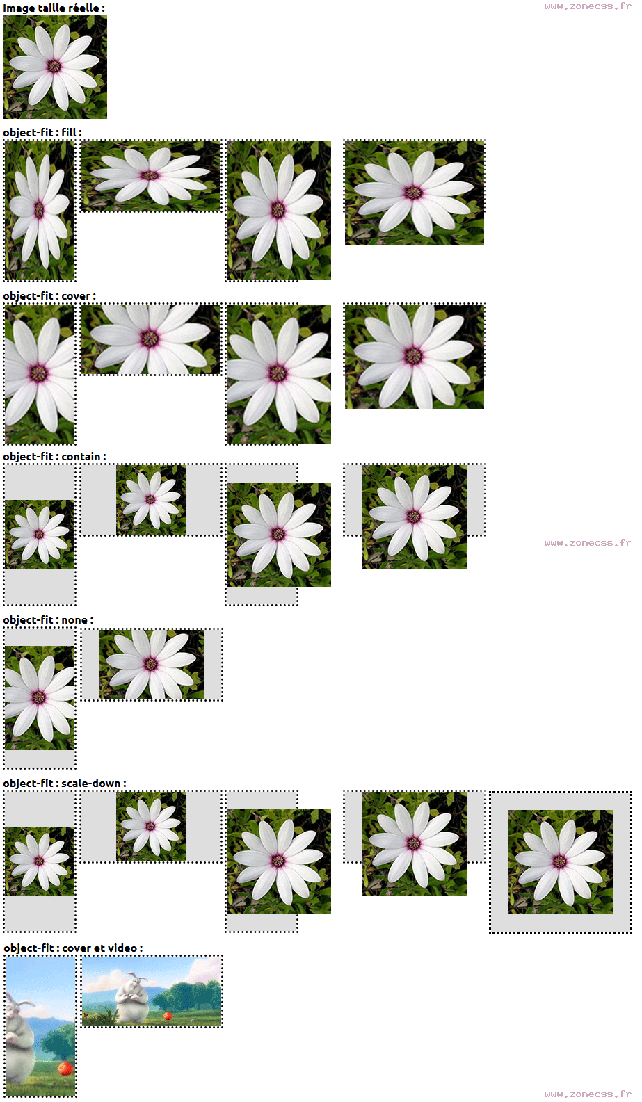 copie d'écran de l'affichage de la propriété CSS object-fit