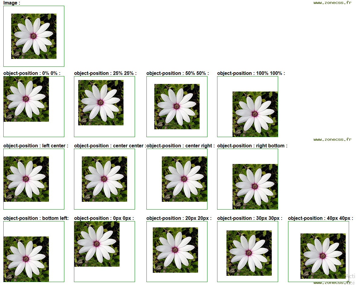 copie d'écran de l'affichage de la propriété CSS object-position