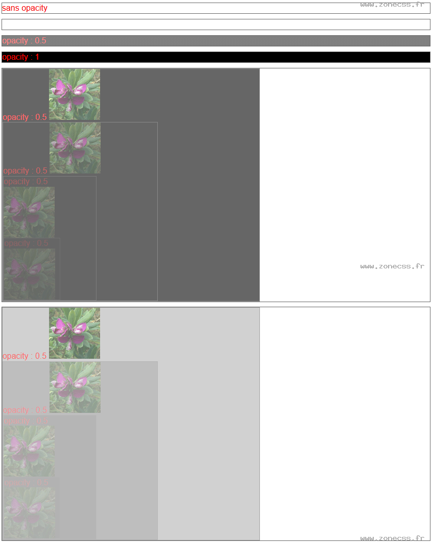 copie d'écran de l'affichage de la propriété CSS opacity