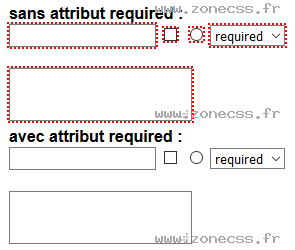 copie d'écran de l'affichage du sélecteur CSS :optional