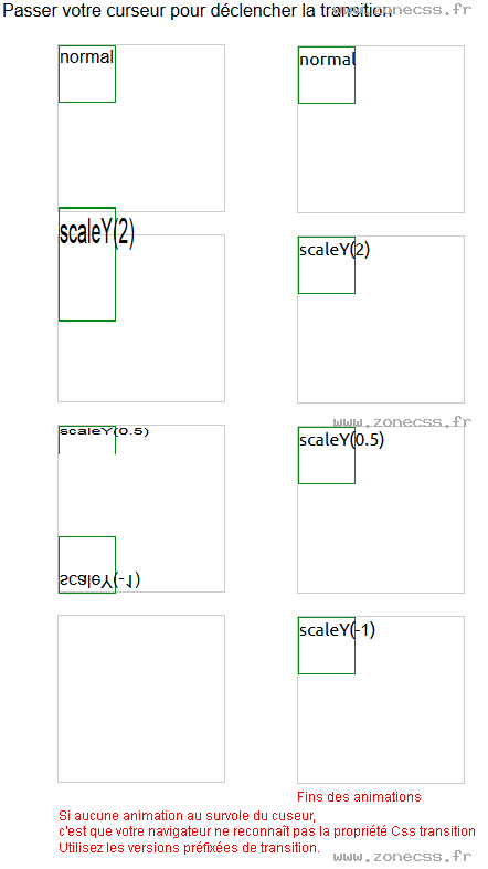 copie d'écran de l'affichage de la fonction CSS scaleY()