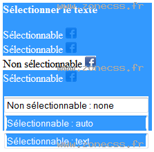 copie d'écran de l'affichage de la propriété CSS -webkit-user-select