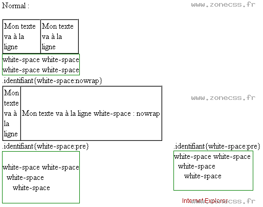 copie d'écran de l'affichage de la propriété CSS white-space